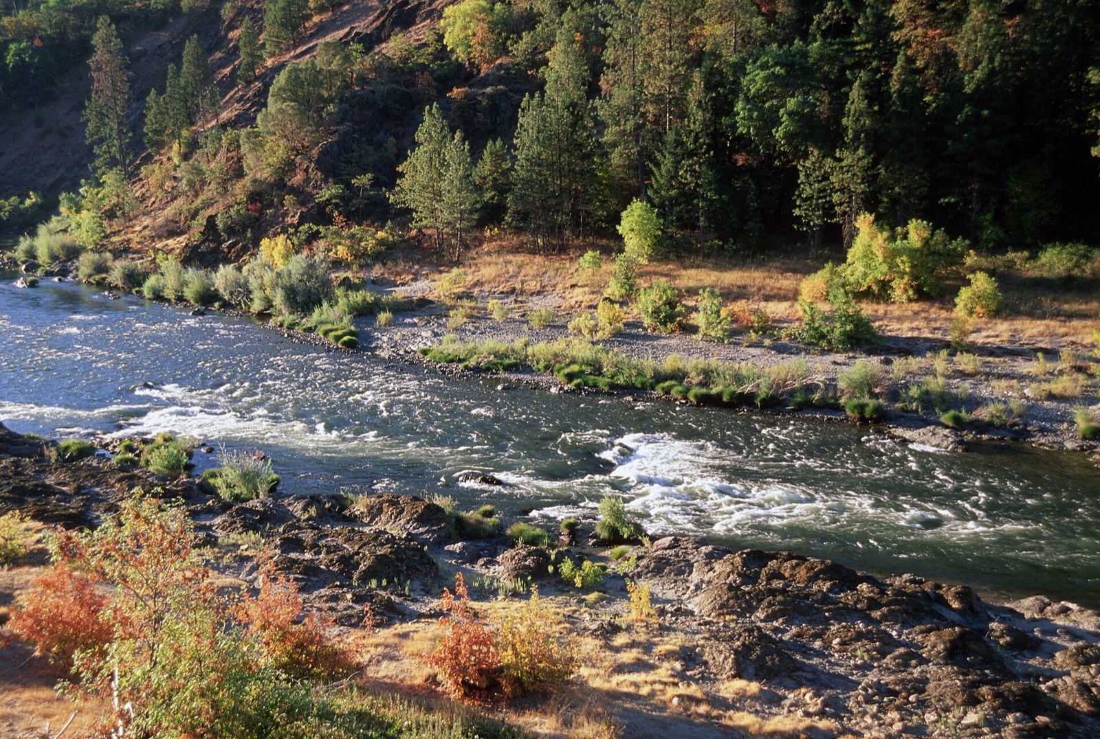 Autumn on the Rogue River in the Rogue River-Siskiyou National Forest, Southern Oregon
